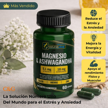 MAGENSIO Y ASHWAGANDHA 60CAP